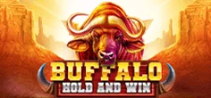 Buffalo Hold and Win