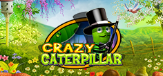 Crazy Caterpillar