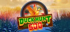 Duck Hunt 500