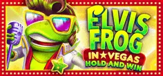 Elvis Frog in Vegas