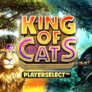 King of Cats