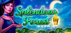 Splendour Forest
