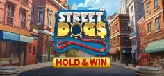 Street Dogs