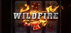 Wildfire