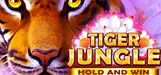 Tiger Jungle
